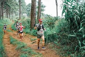 BIB: 
                            <button type="button" onclick="openModal(25660867)" class="btn btn-primary btn-sm float-right btn-popup" data-toggle="modal" data-target=".modal-high-quality">
                        <i class="fas fa-shopping-cart"></i> Add to Cart
                    </button>
                                            <button type="button" onclick="isThisMe(25660867, true)" class="btn btn-success btn-sm float-right btn-popup btn-isme hidden" data-toggle="tooltip" data-placement="bottom" title="นี่คือรูปของคุณใช่ไหม คลิกที่นี่เพื่อเอาเข้าอัลบั้ม">
                        <i class="fas fa-plus"></i> Add to album
                    </button>
                    <button type="button" onclick="isThisMe(25660867, false)" class="btn btn-warning btn-sm float-right btn-popup btn-isnotme hidden">
                        <i class="fas fa-ban"></i> Remove from album
                    </button>